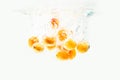 Apricots are falling in the clear water with splash Royalty Free Stock Photo