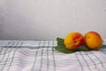 Apricots and green leaves on a rough white background Royalty Free Stock Photo