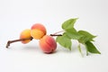 Apricots with green leaves on a white background. Isolated, Two peaches and grapes branch on white background, AI Generated Royalty Free Stock Photo