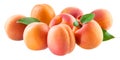 Apricots. Group of ripe fruits isolated on white Royalty Free Stock Photo