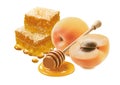 Apricots, honeycomb and honey dipper isolated on white background Royalty Free Stock Photo