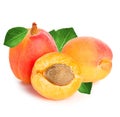 Apricots isolated on a white