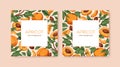 Apricots and leaves, square card, background design. Summer tropical fruits frame. Exotic vitamin natural food, backdrop