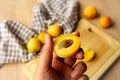 Apricots lying on a wooden board, freshness, harvesting, autumn mood, half an apricot in hand