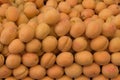 Apricots in market, close up view