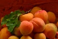 Apricots on rural brown background