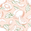 Apricots, seamless pattern. Hand-drawn fruit, repeating print in vintage retro style. Exotic tropical food, endless