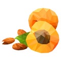 Apricots, triangulation, on a white background low poly object