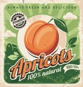 Apricots vintage poster design.