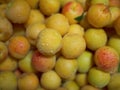 Apricots with water drops