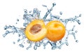 Apricots on water splash