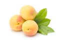 Apricots on white Royalty Free Stock Photo
