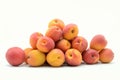 Apricots white background