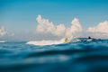 April 16, 2020. Bali, Indonesia. Surf girl ride on surfboard. Surfers in ocean during surfing.