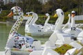 26 April 2018 Bangor Northern Ireland. Swan themed pedalos for hire in the popular Pickie Centre empty on a cool spring morning Royalty Free Stock Photo