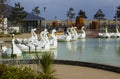 26 April 2018 Bangor Northern Ireland. Swan themed pedalos for hire in the popular Pickie Centre on a cool spring morning Royalty Free Stock Photo