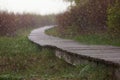 April in the Biebrza valley, a footbridge on the marshes