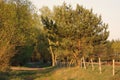 April in the Biebrza valley, spring landscape in the countryside