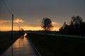 April in the Biebrza Valley, spring landscape in the countryside