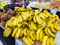 April 28, 2023, Brazil. Coconuts, bananas, plums, potatoes and onions in a supermarket.