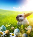 Art April Easter bunny; baby rabbit and easter eggs on spring flower Royalty Free Stock Photo