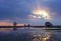 April evening by the Biebrza floodplains, sunset rays, sunbeams