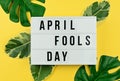 April Fool`s day and tropical leaves on yellow