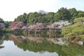 the Japan, Kyoto, view to Heian Shrine, japan 10 April 2012