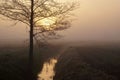 April in the landscape park, spring dawn, ploughed field Royalty Free Stock Photo