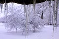 April, long, colder, freeze, climate, city, bokeh, march, nobody, large, drop, light, natural, clean, icy, icicle, sharp, roof, ic