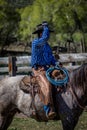 APRIL 22, 2017, RIDGWAY COLORADO: American Cowboy during cattle branding at Centennial Ranch, Ridgway, Colorado- a cattle ranch o