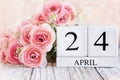 April 24th Calendar Blocks with Pink Ranunculus Royalty Free Stock Photo