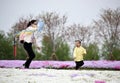 Zhiyinghua sea like colorful carpet, Baima Lake Tourist Resort, Huai`an City, Jiangsu Province, China