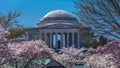 APRIL 8, 20918 - WASHINGTON D.C. - Jefferson Memorial framed by Cherry Blossoms on Tidal Basin,. Cherry, blossom