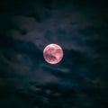 April's pink supermoon will be the biggest this year Royalty Free Stock Photo