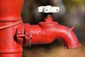 APS Red Water Pump