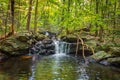 Apshawa Falls in a suburban nature preserve in NJ is surrounded by lush green forest on a summer afternoon Royalty Free Stock Photo