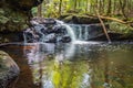 Apshawa Falls in a suburban nature preserve in NJ is surrounded by lush green forest on a summer afternoon Royalty Free Stock Photo