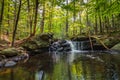 Apshawa Falls in a suburban nature preserve in NJ is surrounded by lush green forest on a summer afternoon