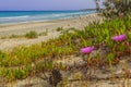 Apulia coast: Alimini Beach,ITALY Lecce. Royalty Free Stock Photo