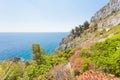 Apulia, Leuca, Grotto of Ciolo - Vegetation at the coastline of