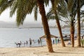 Aqaba, Jordan, March 8, 2018: Aqaba beach with fully clothed people bathing, palms in the foreground and the Israeli port of Eilat