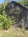 AQBroad side of mother natures barn Royalty Free Stock Photo