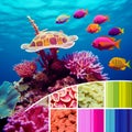 Aqua Adventure: Underwater World Moodboard Royalty Free Stock Photo