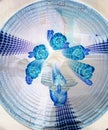 Aqua blue circle pattern of flowers and bee. warping though tunnel.