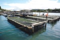 Aqua farms supporting the ecological system. Environmental improvements. Generative Ai content