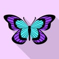 Aqua purple butterfly icon, flat style Royalty Free Stock Photo