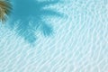 Aqua waves and coconut palm shadow on blue background. Water pool texture top view In the summer