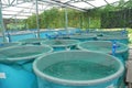 Aquaculture farm Royalty Free Stock Photo