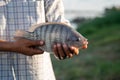 Aquaculture farmers hold quality tilapia yields in hand. Tilapia Farming